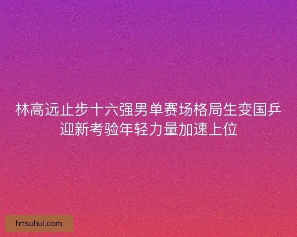 林高远止步十六强男单赛场格局生变国乒迎新考验年轻力量加速上位